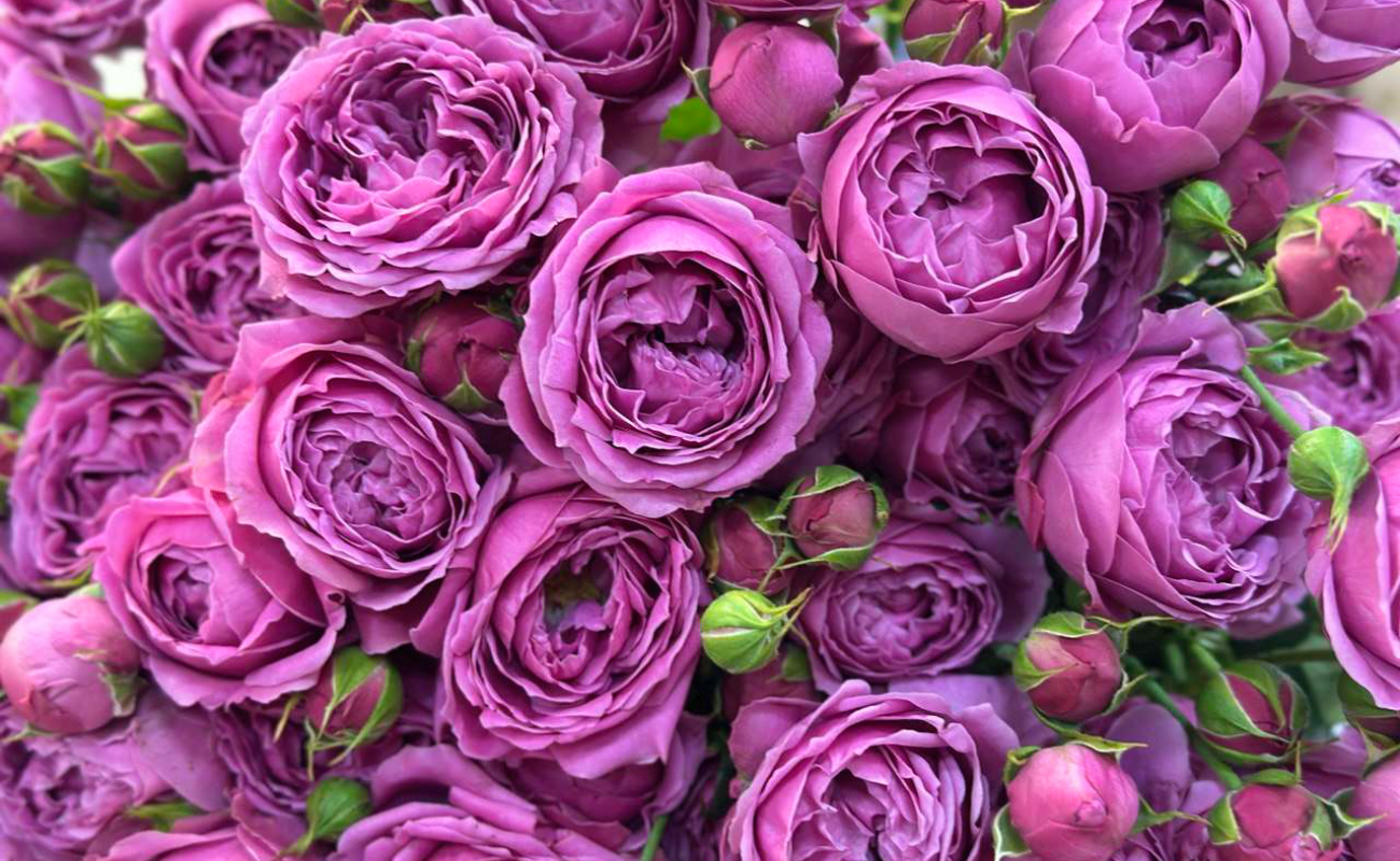 Flower Lavka - главный баннер