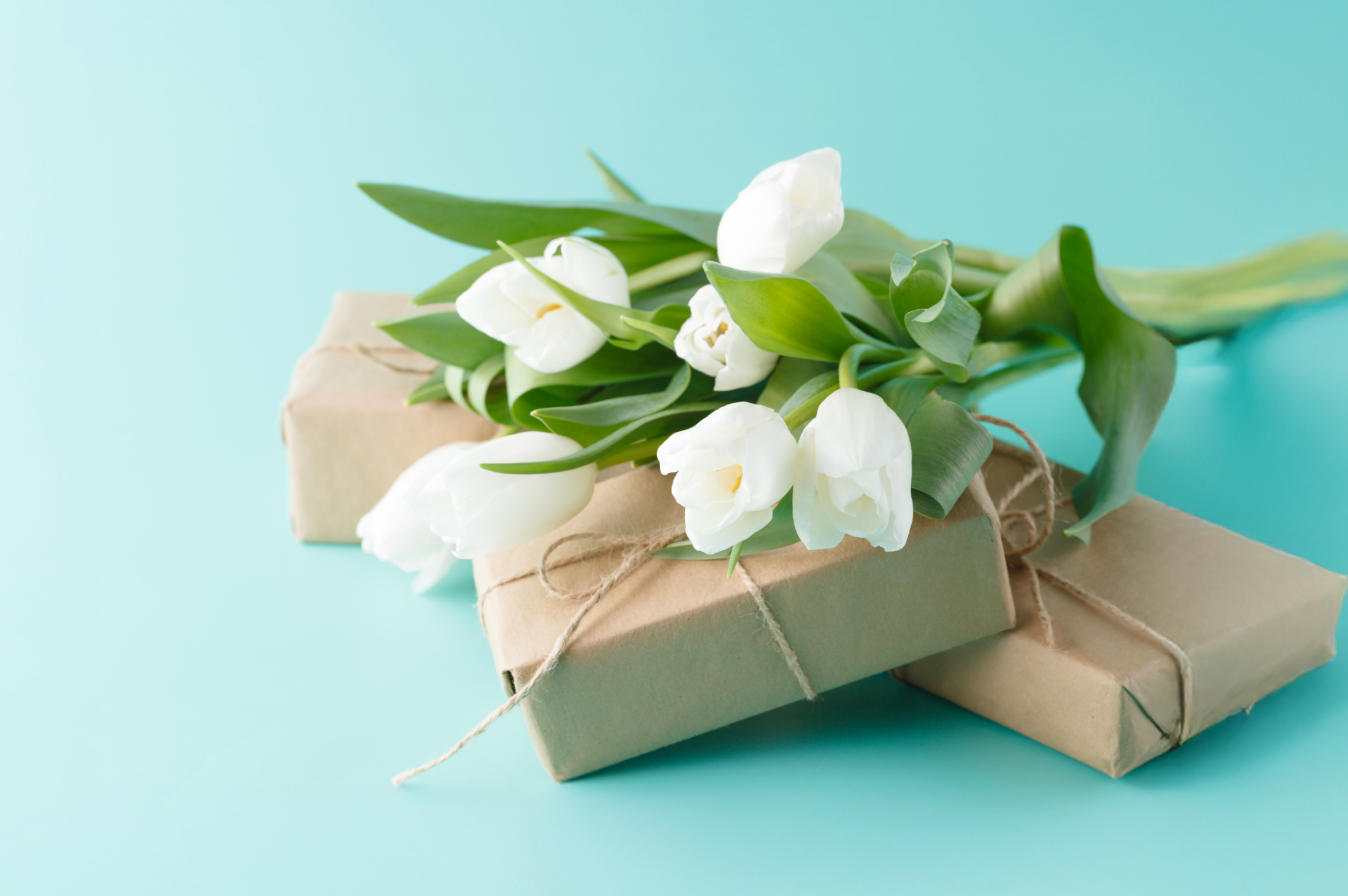 Мастерская флористики и декора ЛЛ - главный баннер