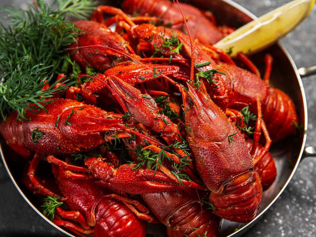 Раки - главный баннер