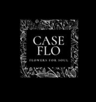 CASEFLO - логотип