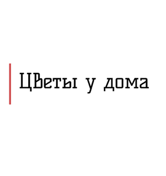 Цветы у дома - логотип