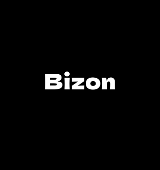 Bizon - логотип