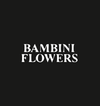 Bambini Flowers - логотип