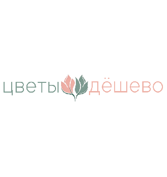 Цветы Дёшево - логотип