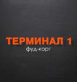 Терминал 1 - логотип