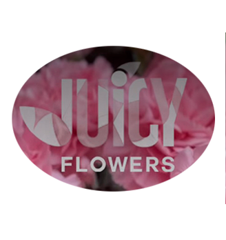 Juicy flowers - логотип