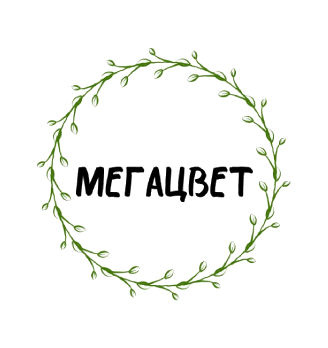 Салон цветов «Мегацвет» - логотип
