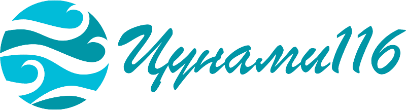 Цунами116 - логотип