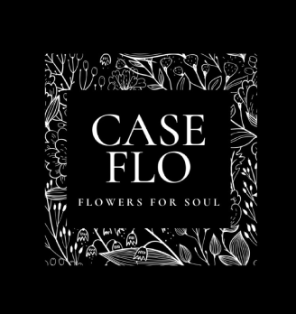 CASEFLO - логотип