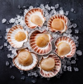 Гребешки /1 шт/ Scallops