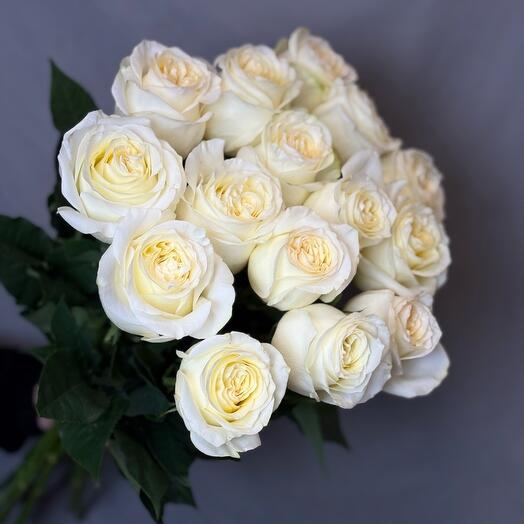 Роза Кэндилайт 15шт