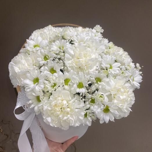 Любимые стойкие диантусы с ромашками