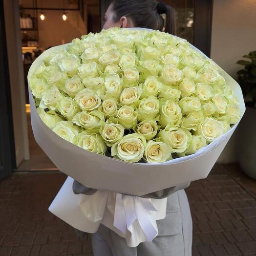 101 белая роза эквадор Голландия 60 см