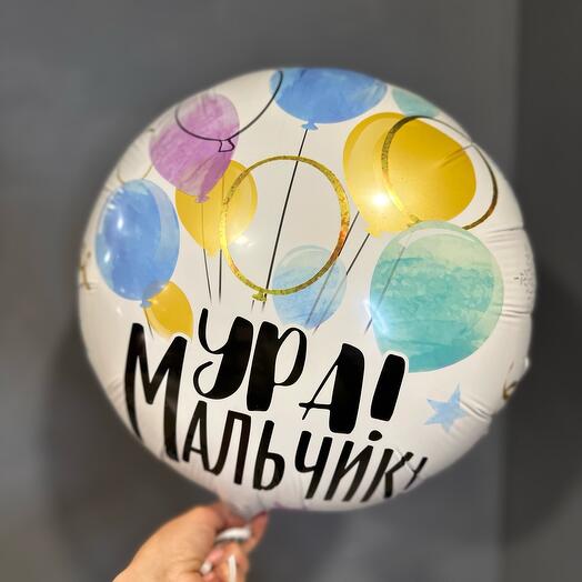 Шар на выписку мальчик