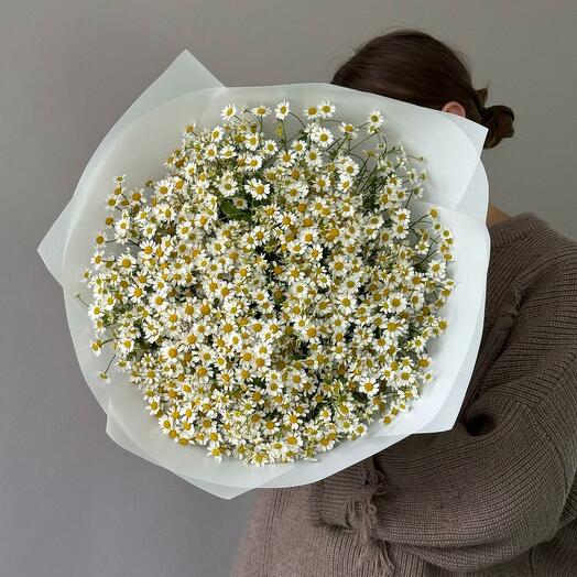 Букет воздушных ромашек 