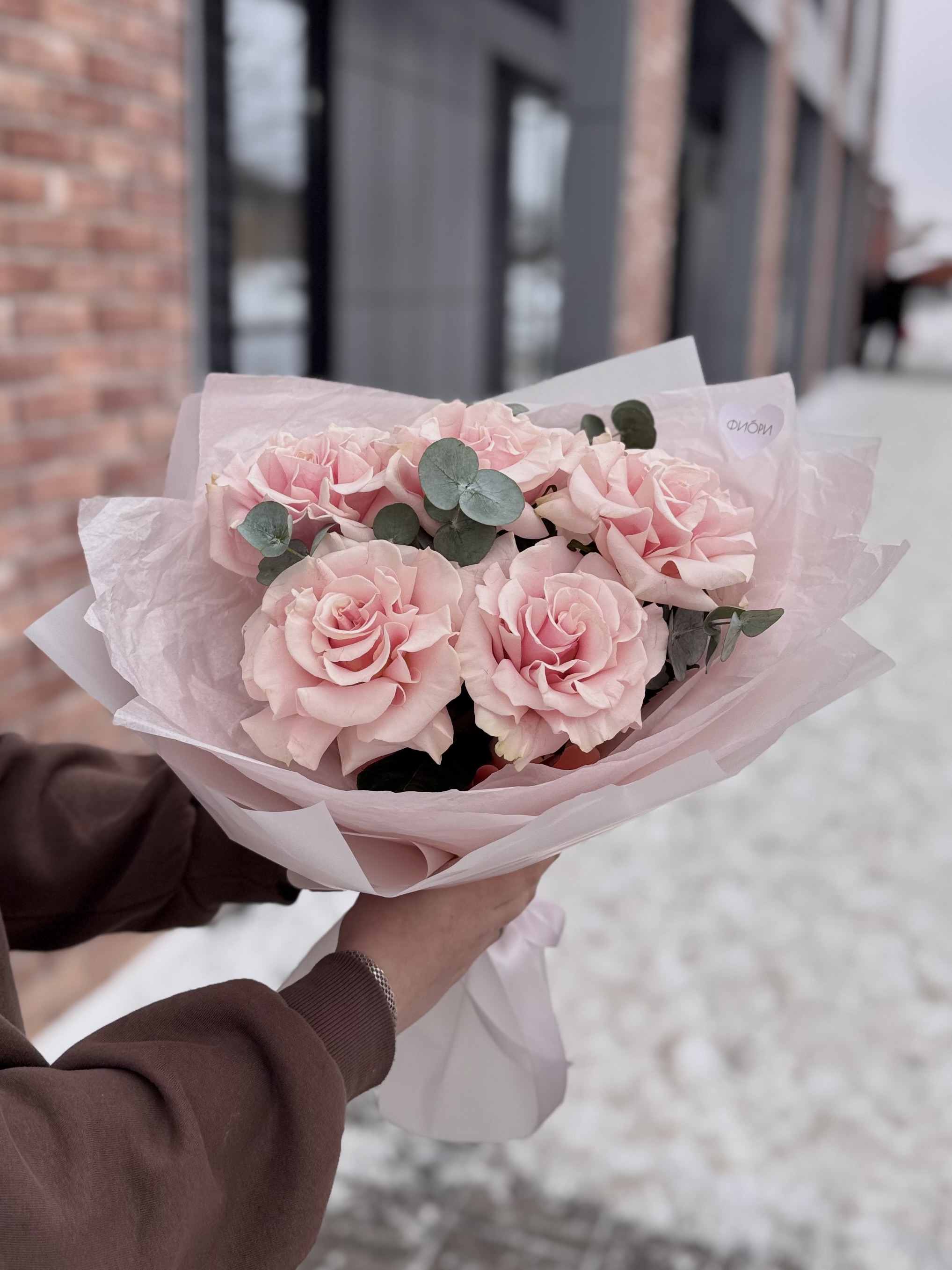 Французские Пинк Мондиаль