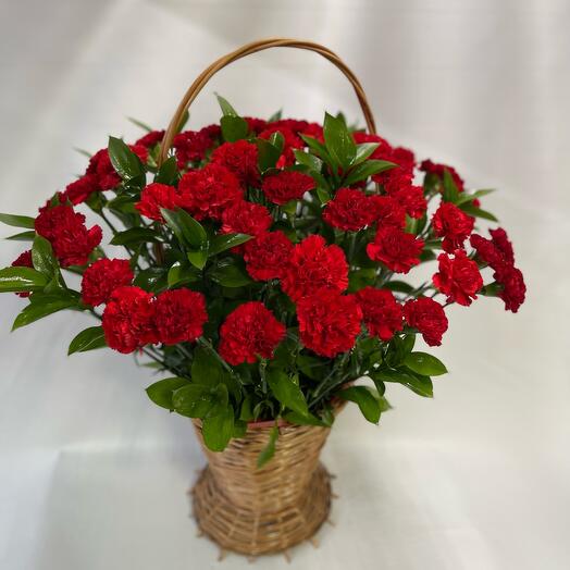 Гвоздика «Возложение»