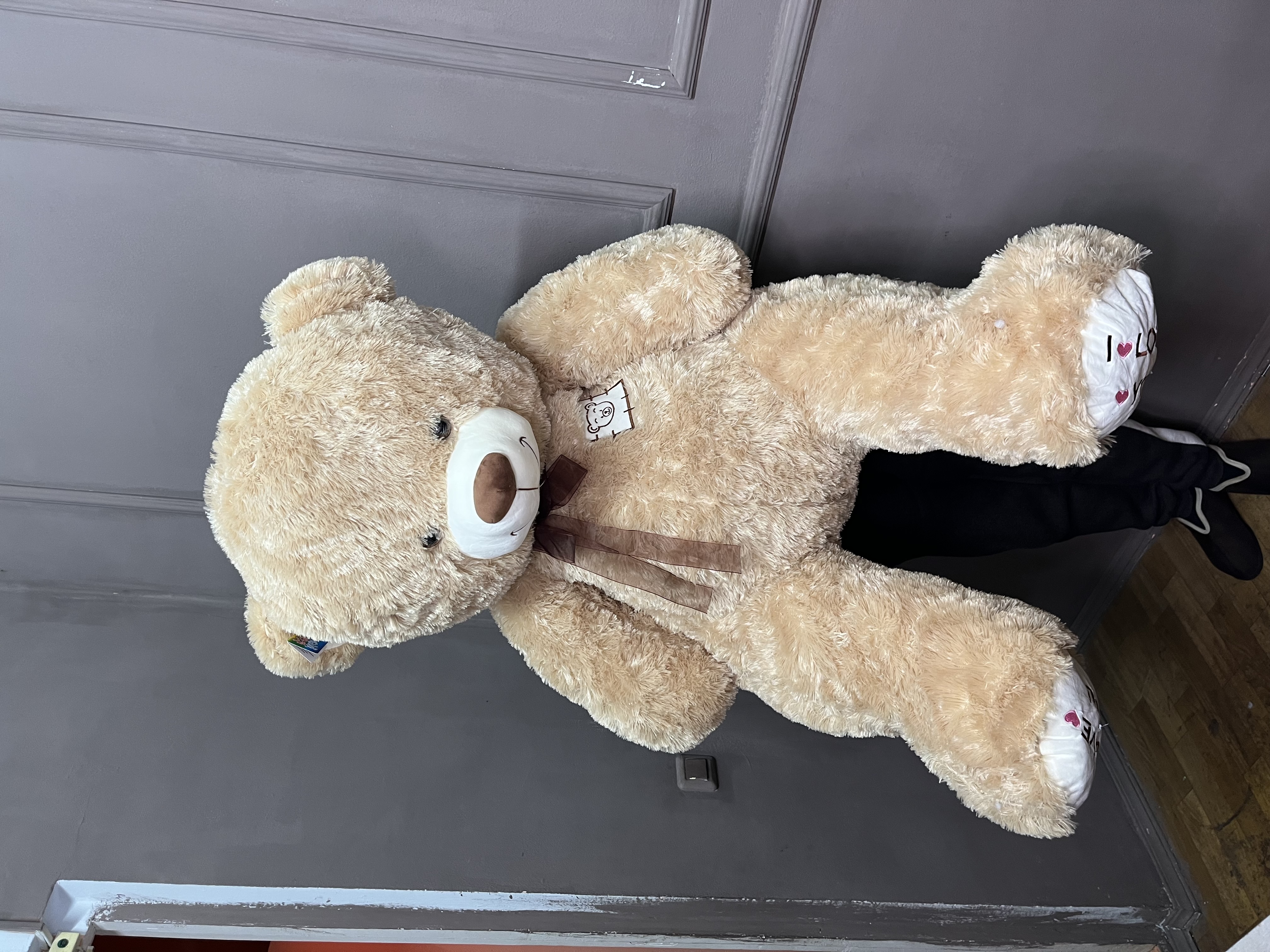 Мишка гигант 