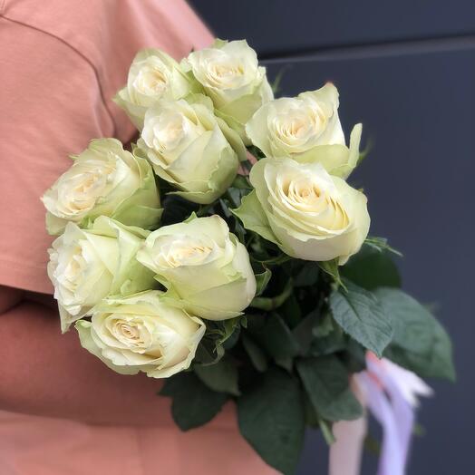 Роза Белая 9шт Кения