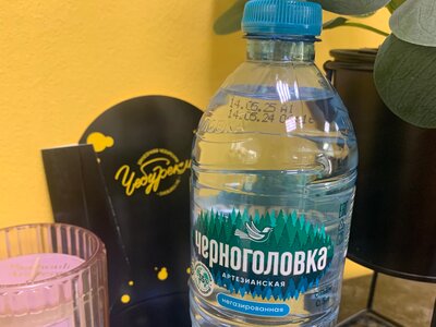 Черноголовка артезианская негазированная