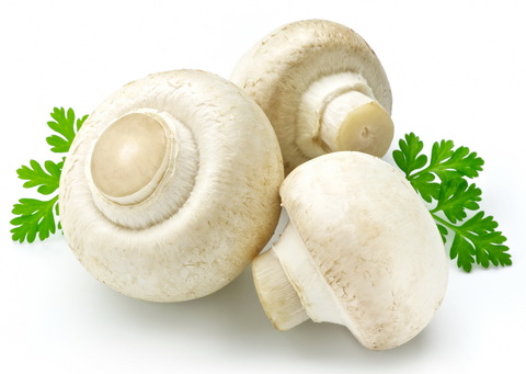 Шампиньоны (30гр.)