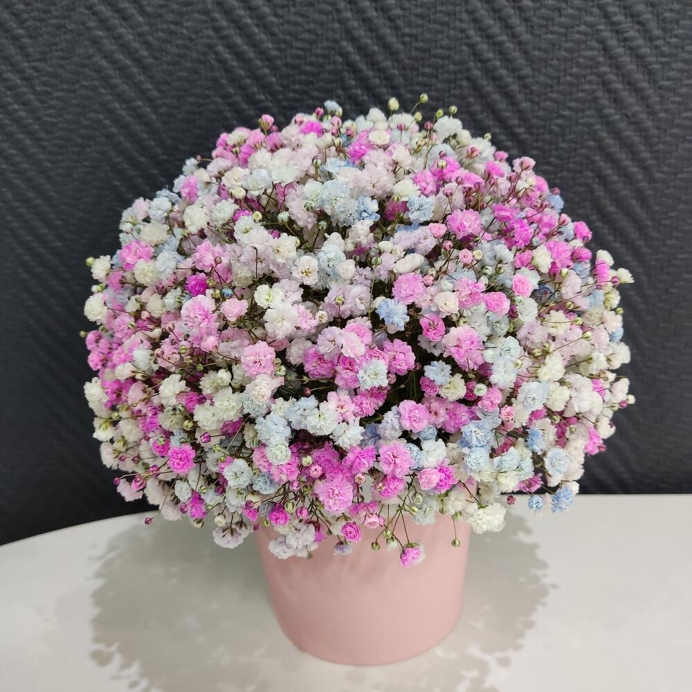 Гипсофила в шляпной коробке Flowers for you