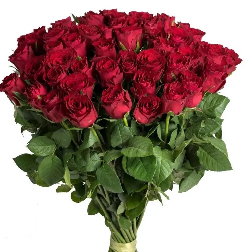 Роза «Кения»