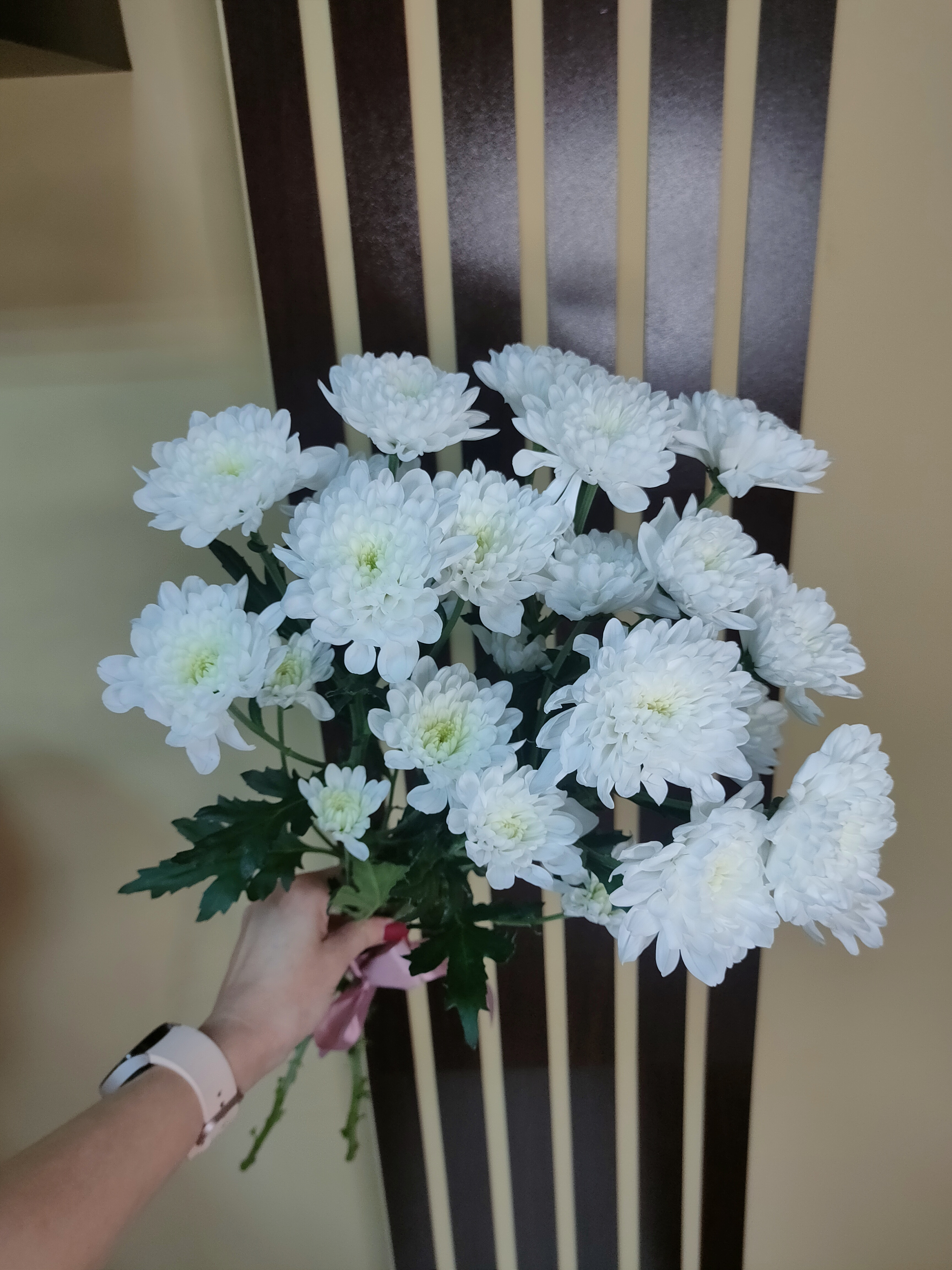 "Комплимент"