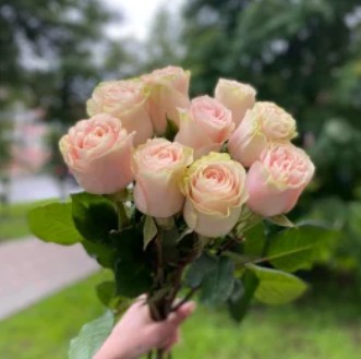 9 роз на ленте