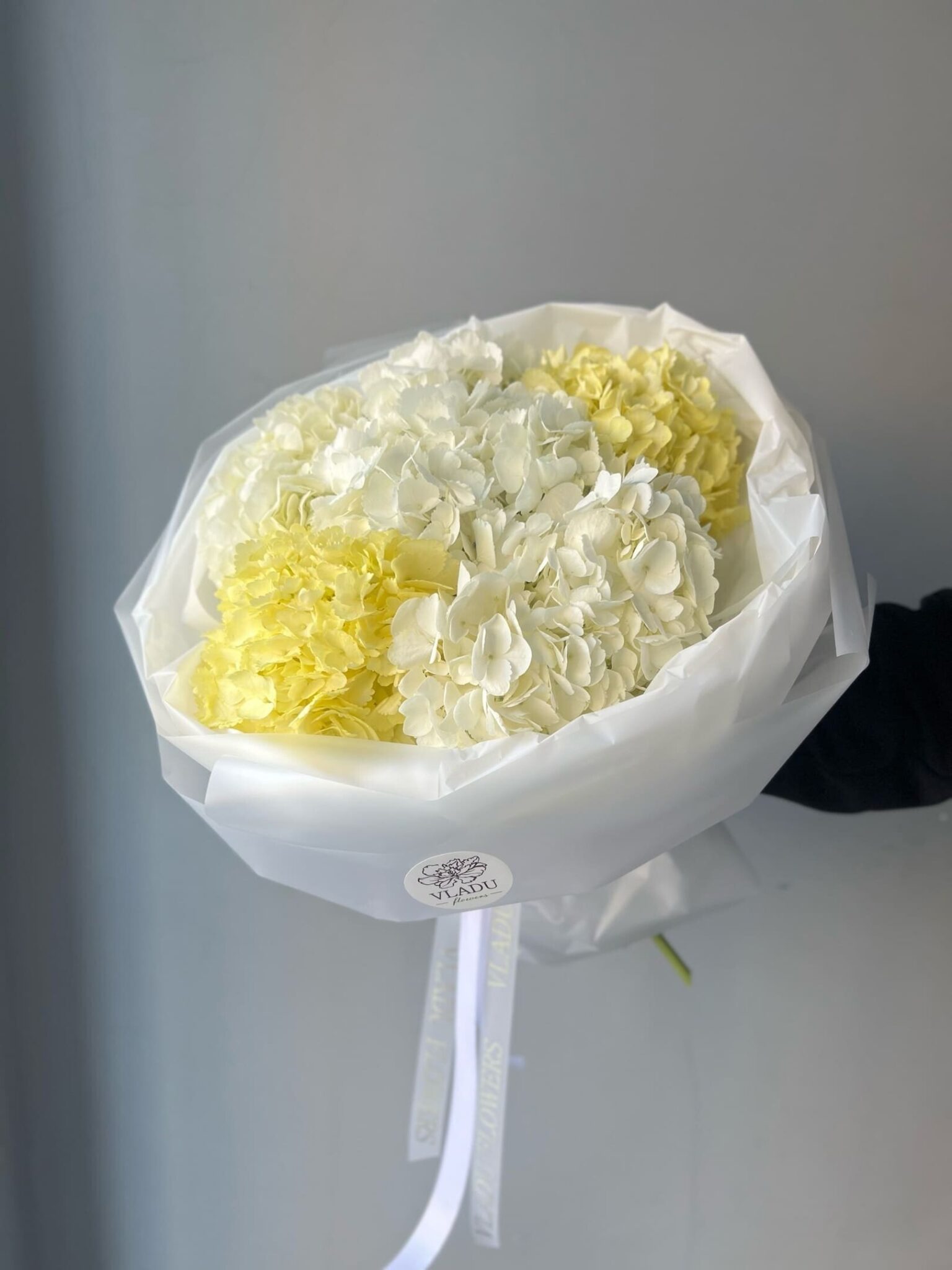 Моно букет из гортензий 5 штук