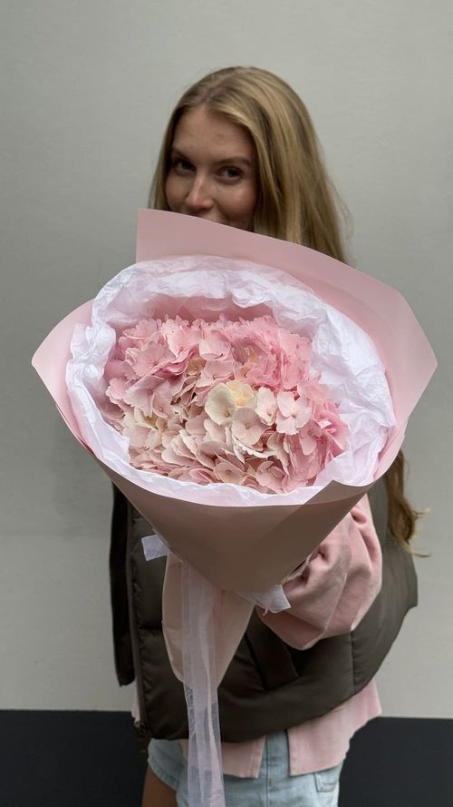 Букет из 1 гортензии