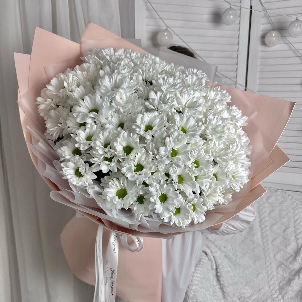 Хризантема белая ромашковая 25 веток в дизайнерской упаковке. Размер XL
