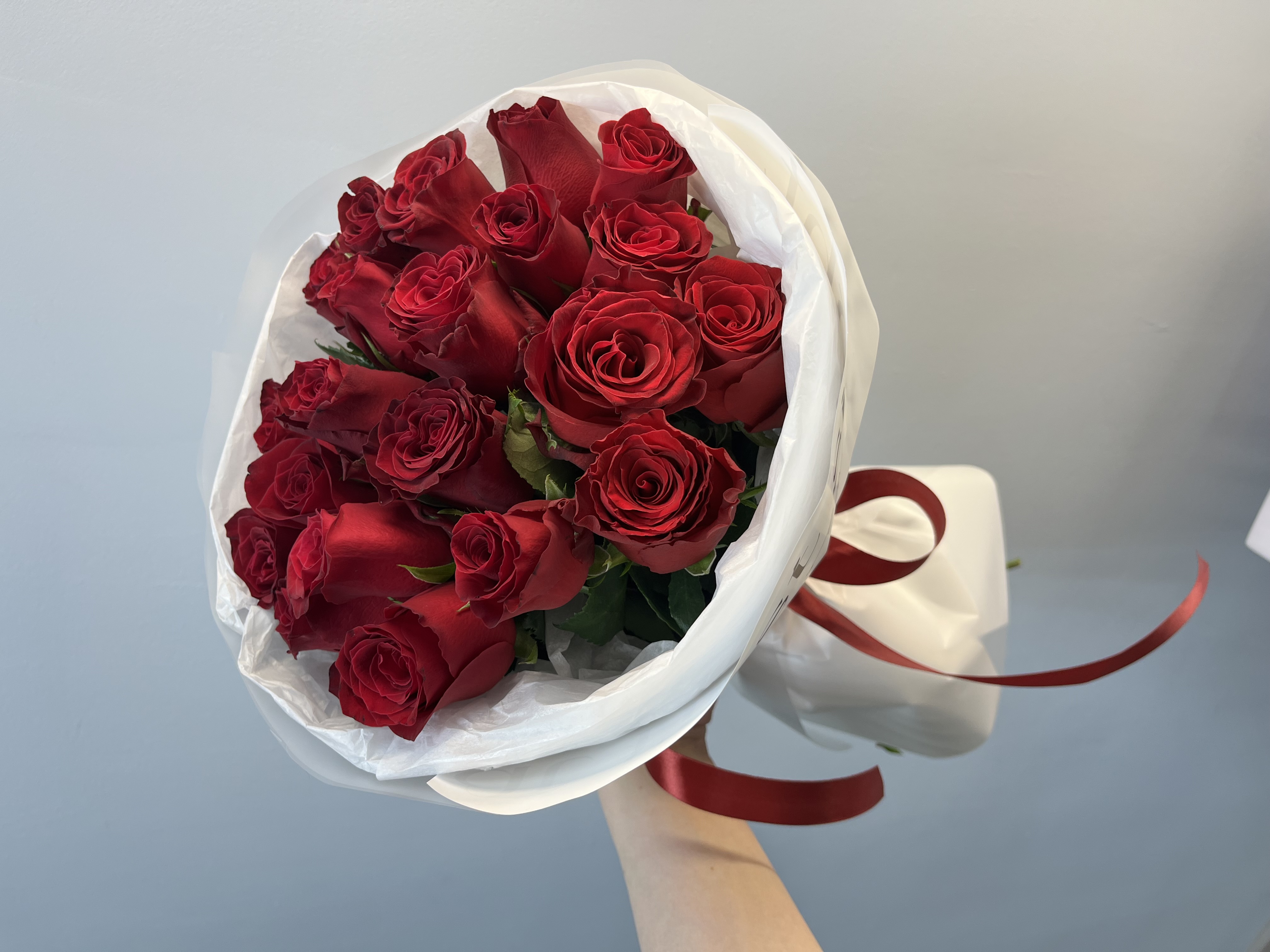 21 Кения с крупным бутоном 40-50 см