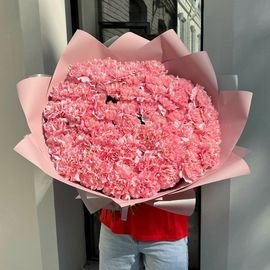 Сказочные диантусы 49 штук