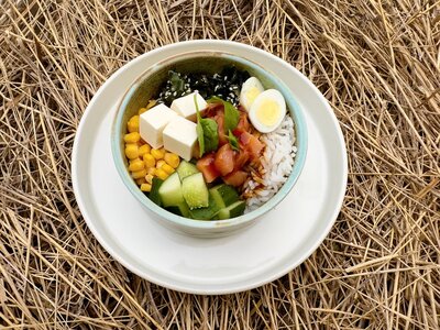 Боул Норвежский