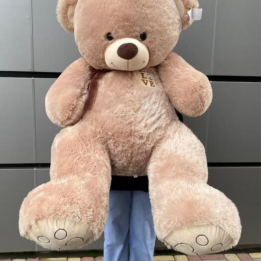 Медведь 2 метра