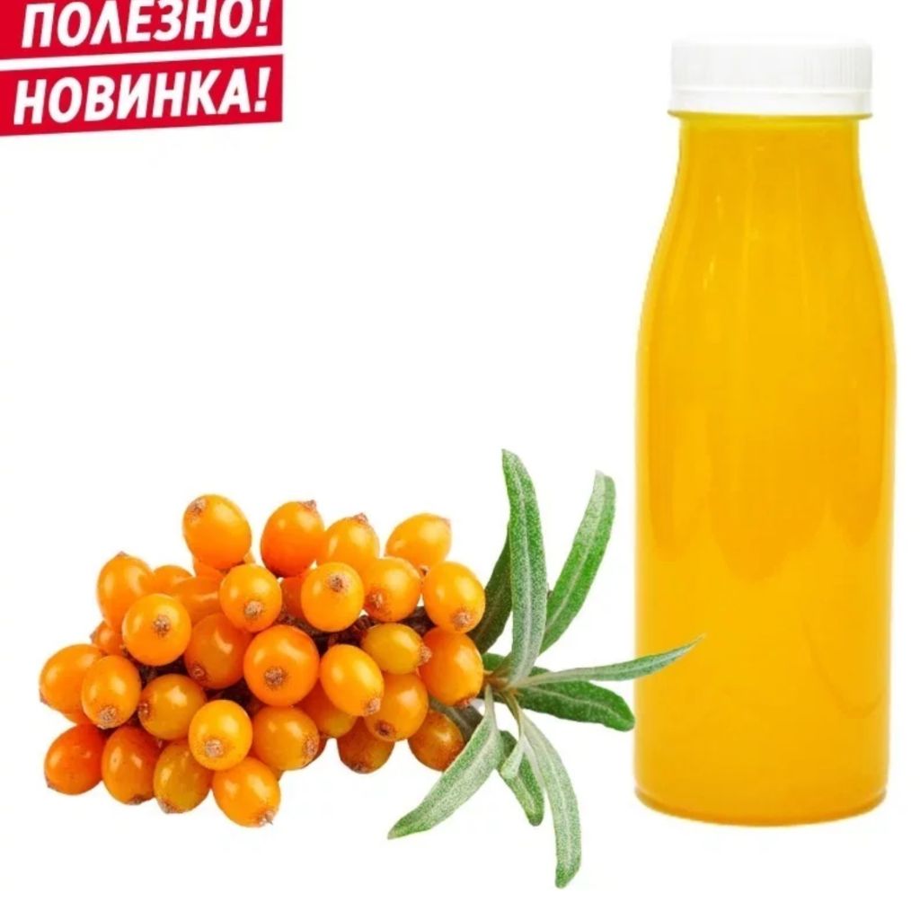 ДОМАШНИЙ МОРС ОБЛЕПИХОВЫЙ [AT]