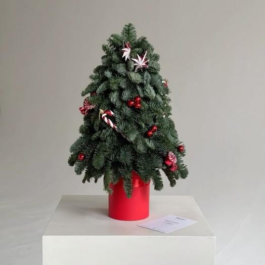 Елочка из нобилиса 