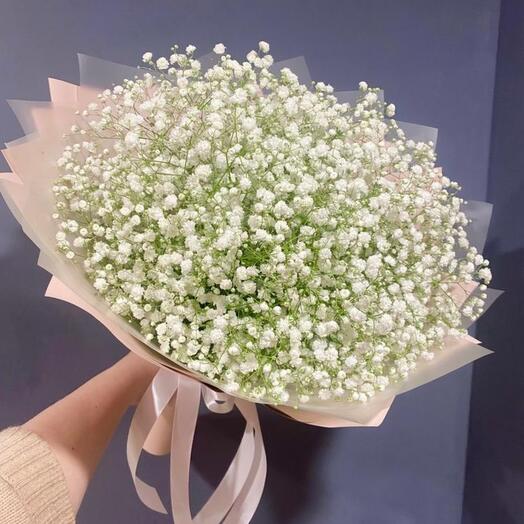 Белая гипсофила