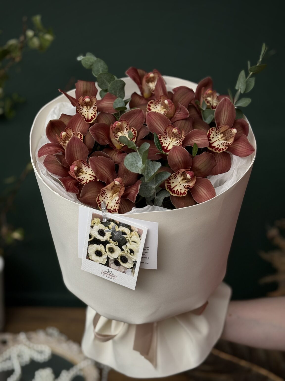 Шоколадный чизкейк