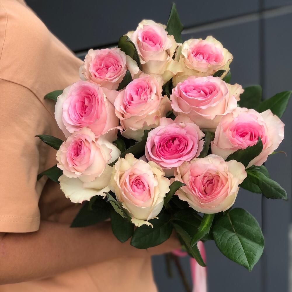 Роза "Мандала" 11 шт Кения