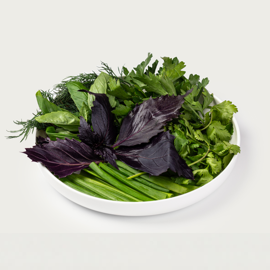 Свежая зелень