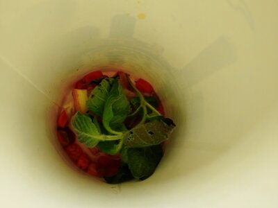 Напиток авторский с облепихой