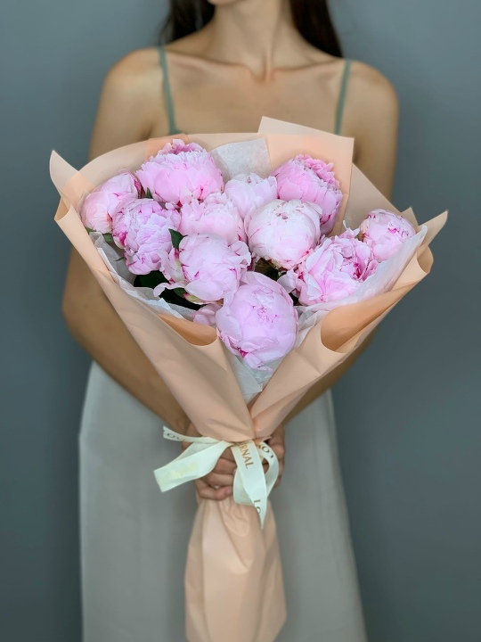11 нежно-розовых пионов