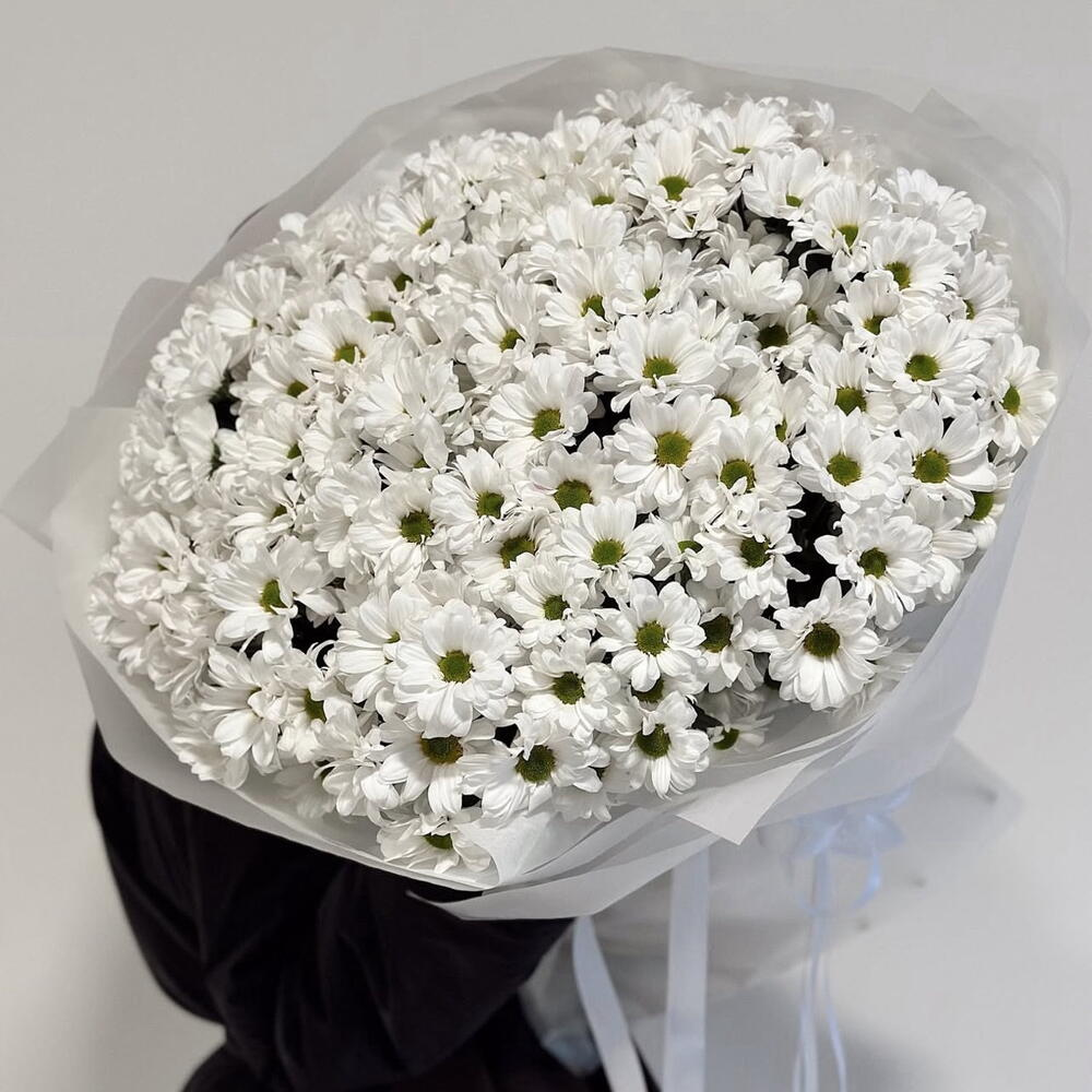 Хризантемы ромашки большой букет