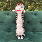 Длинный котик