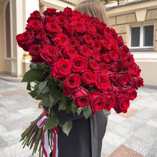 51 Роза красная крупная Голландия