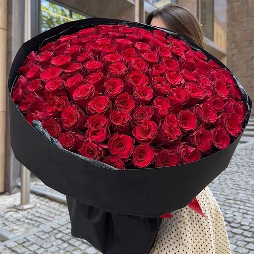 101 роза красная в черной стильной упаковке