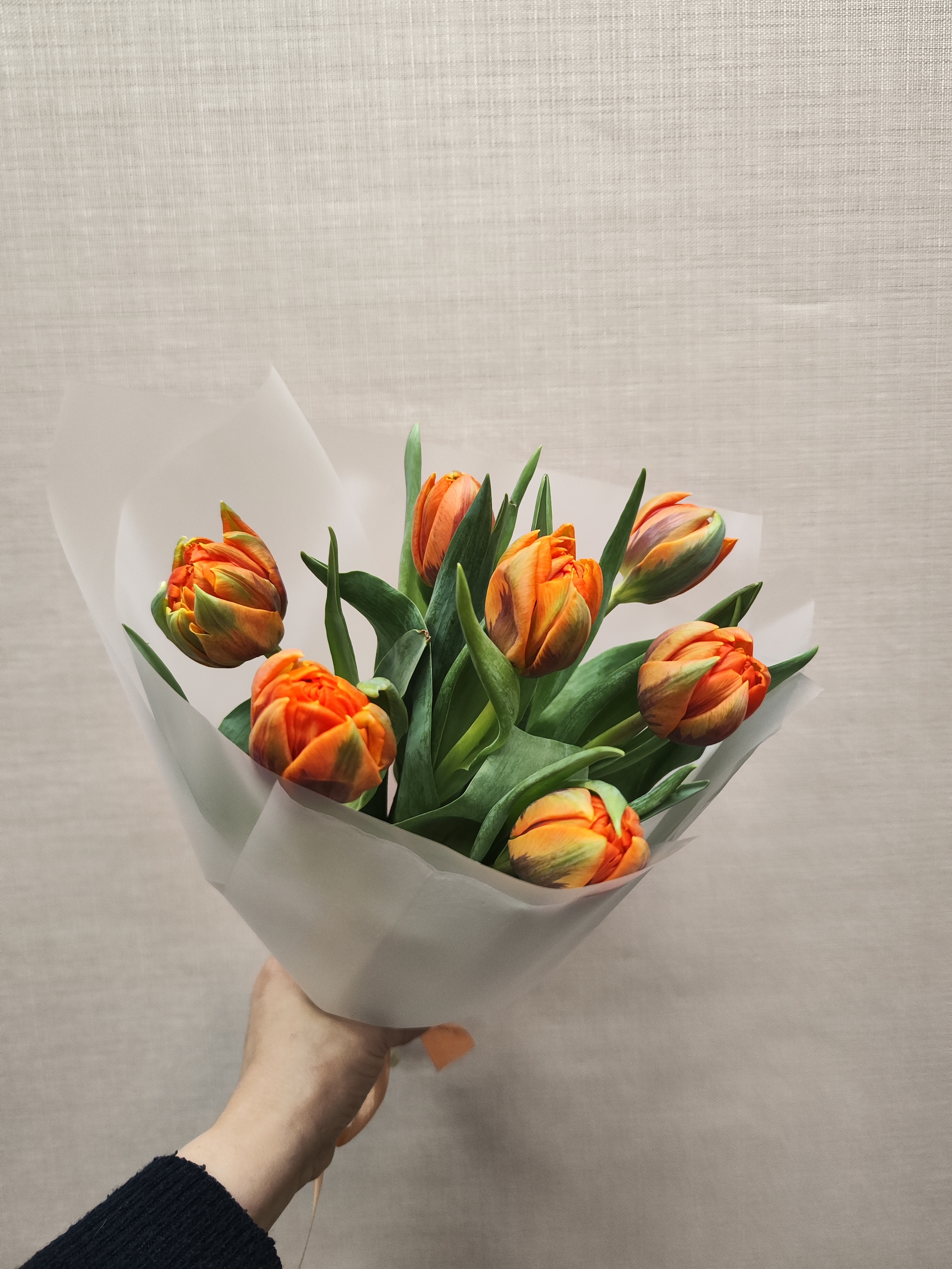 7 пионовидных тюльпанов в матовой пленке 