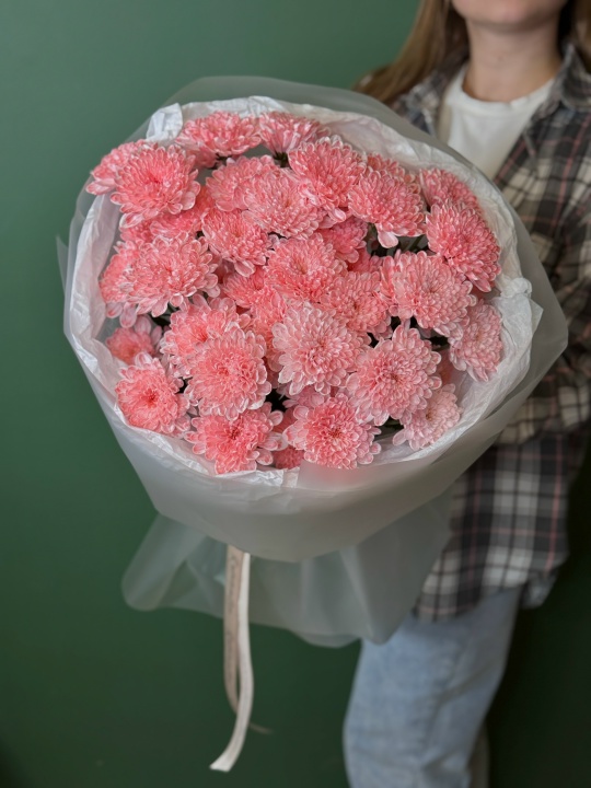 7 розовых хризантем Алтай